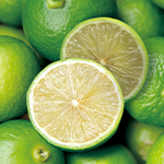 ALL_about_career_26C31_H1D6CkbWYO