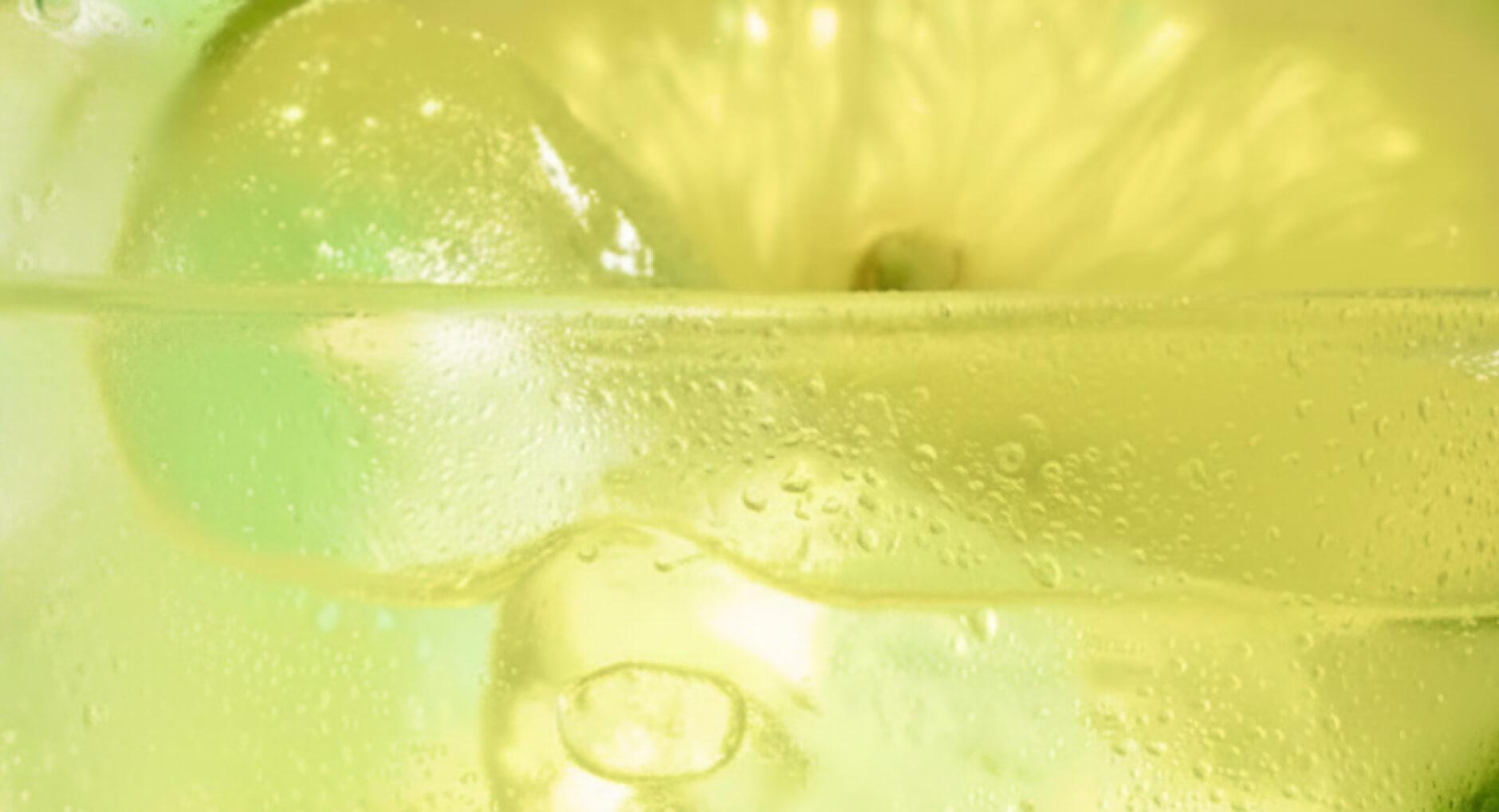 屏東檸檬新鮮直送